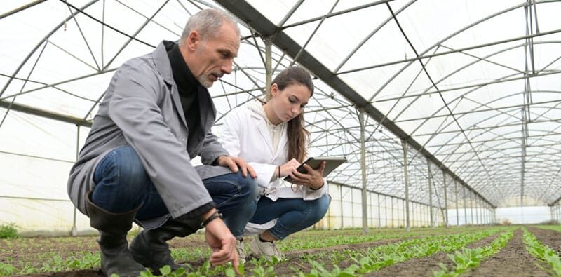 Image for Interdisciplinary Agriculture