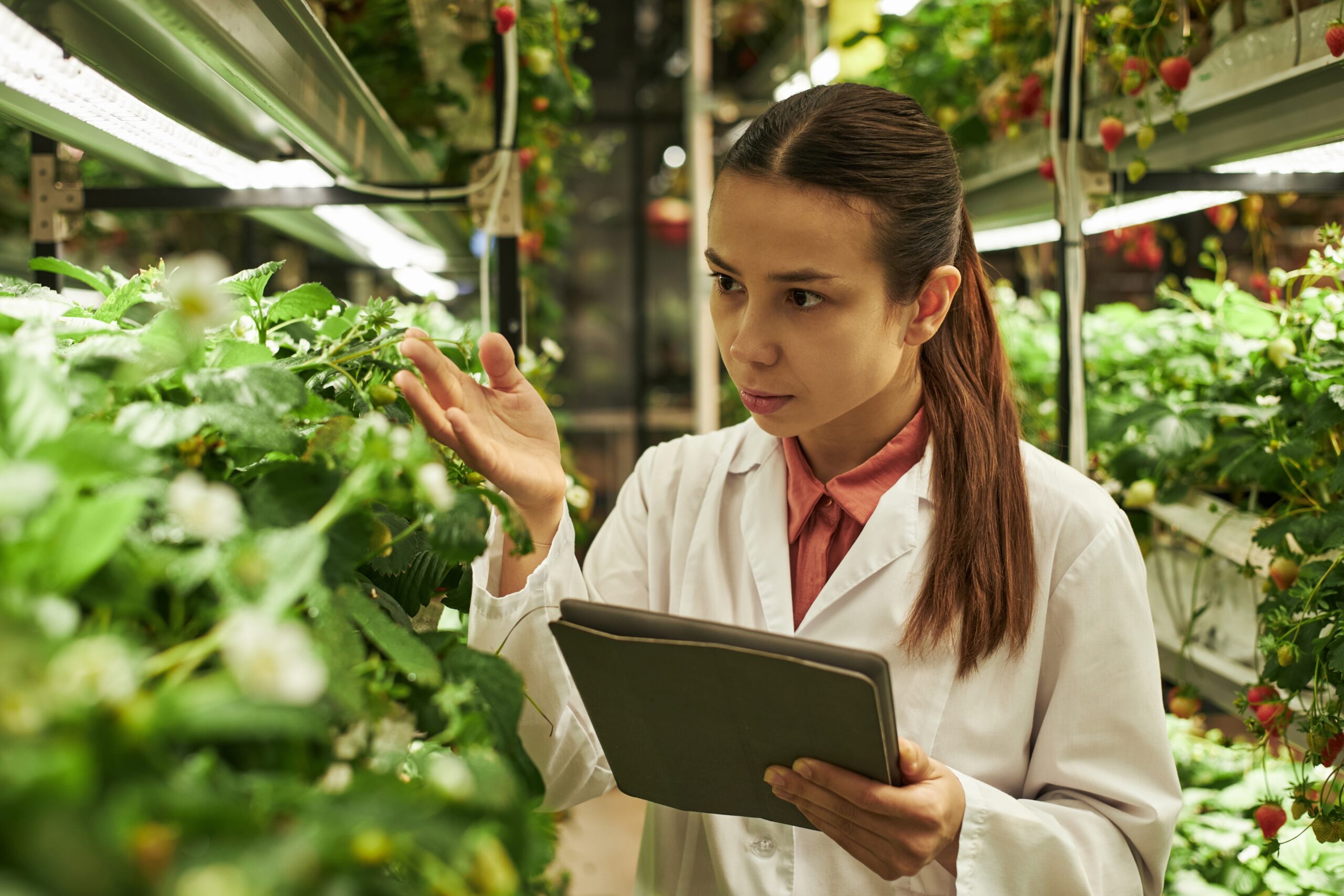 Image for Agricultural Education